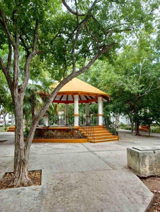 Вілла Beautiful Jungle House On A Strategic Location Канкун Екстер'єр фото