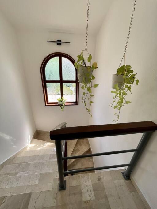 Вілла Beautiful Jungle House On A Strategic Location Канкун Екстер'єр фото
